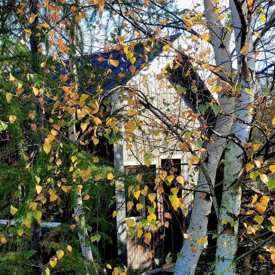 Domki Na Widoku Lubomierz  Eksteriør billede